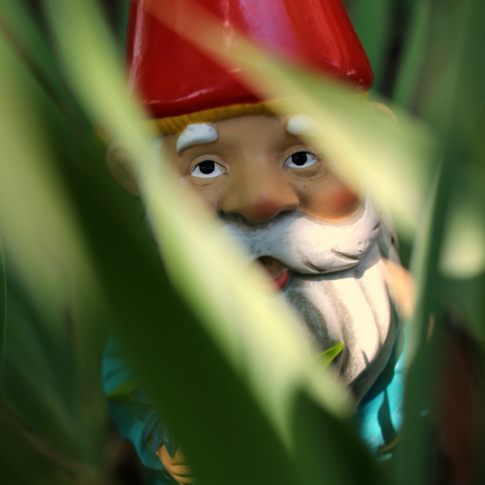 Garden Gnome